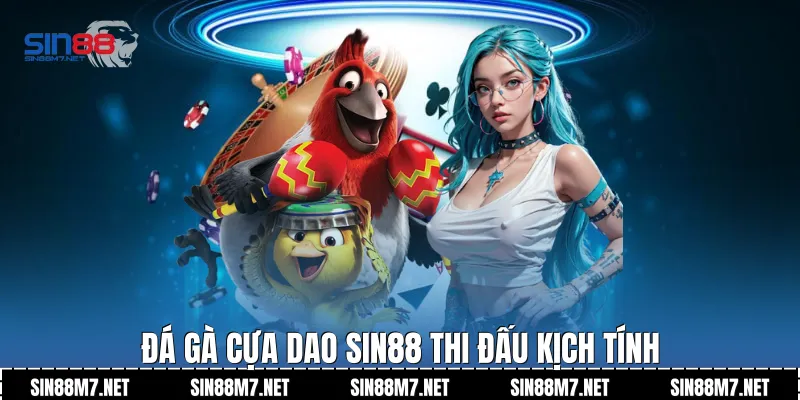Đá gà cựa dao Sin88 thi đấu kịch tính