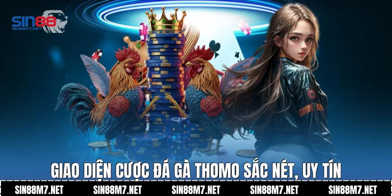Giao diện cược đá gà Thomo sắc nét, uy tín